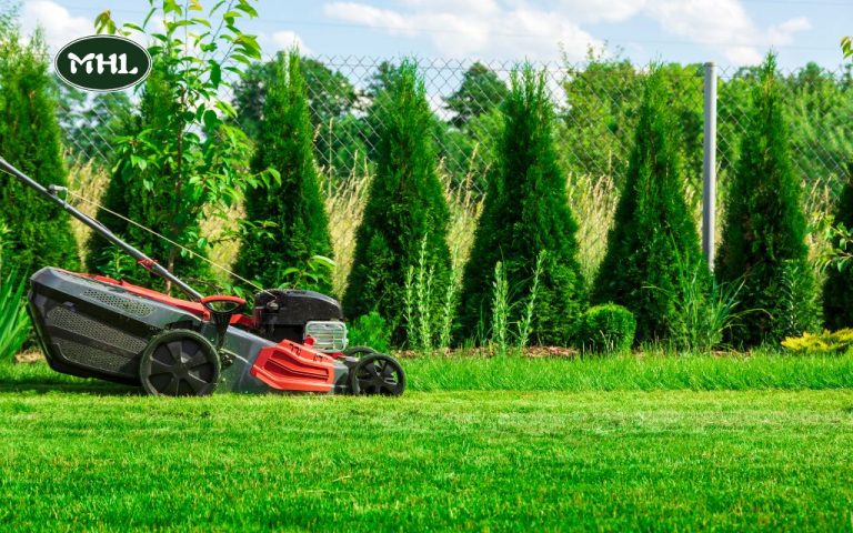 Expert Guide to Residential Lawn Mowing Service Near Me for Denvers