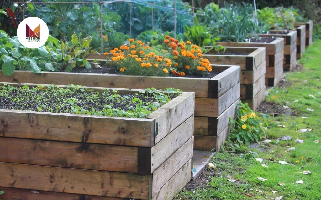 Garden Bed Ideas: Benefits of Raised and In-Ground Garden Beds