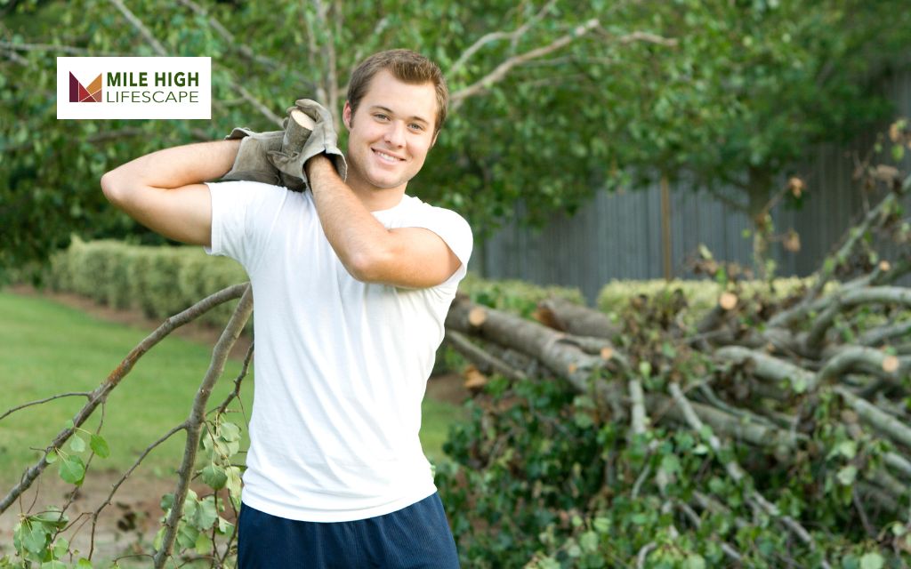 Hiring Professional Landscape Yard Clean Up Services