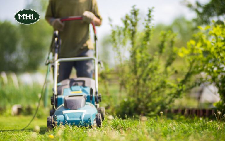 How Much to Charge for Lawn Mowing: A Guide for Denver Homeowners