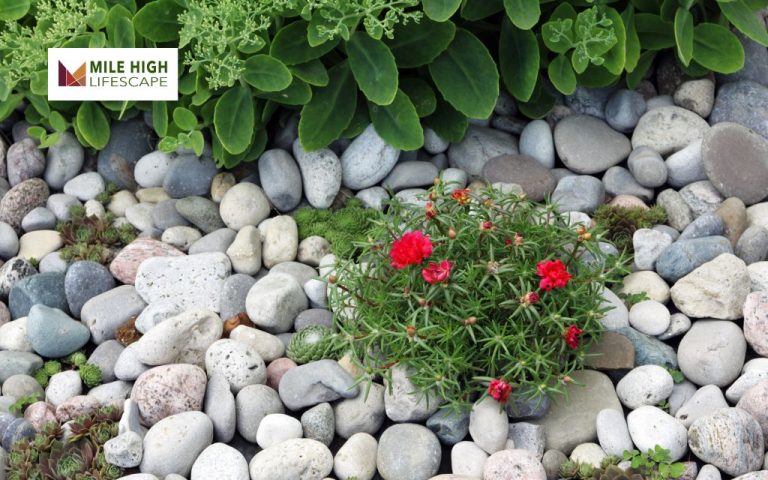 Landscape Rocks: A Complete Guide to Enhancing Your Outdoor Space