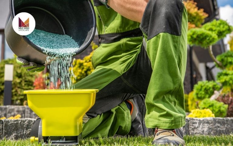 Lawn Fertilizer: How to Choose and Use It for a Healthy, Green Lawn