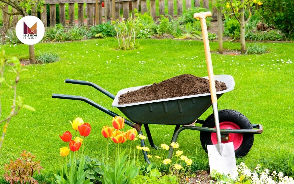 Lawn Fertilizer Schedule for Different Seasons