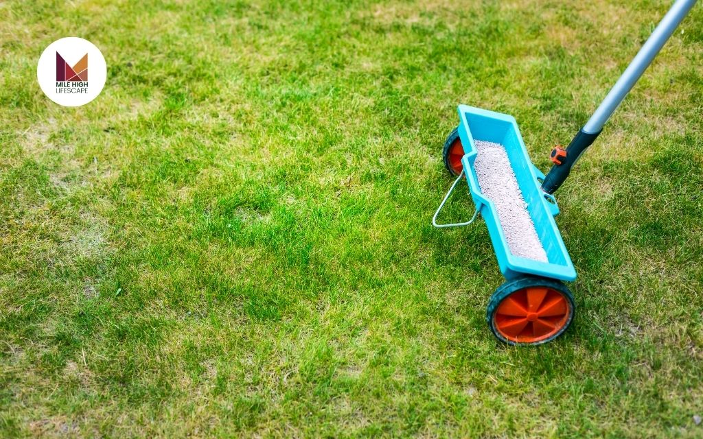 Lawn Fertilizer Schedule for Different Types Grass