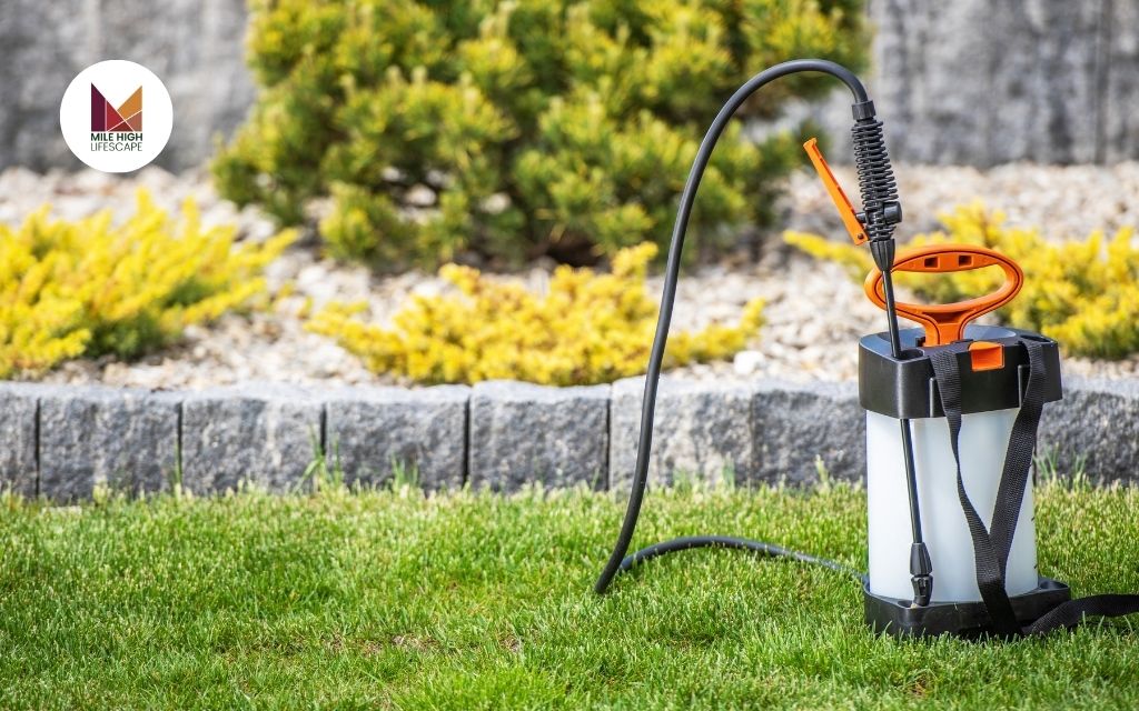 Lawn Fertilizer Schedule: When and How to Feed Your Lawn for Optimal Growth