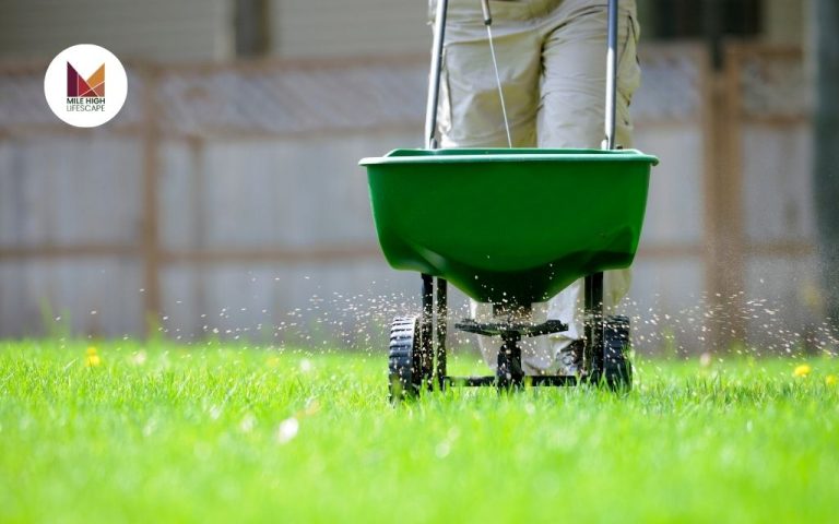 Lawn Fertilizer Service: Healthy & Green Lawn in Denver 2025