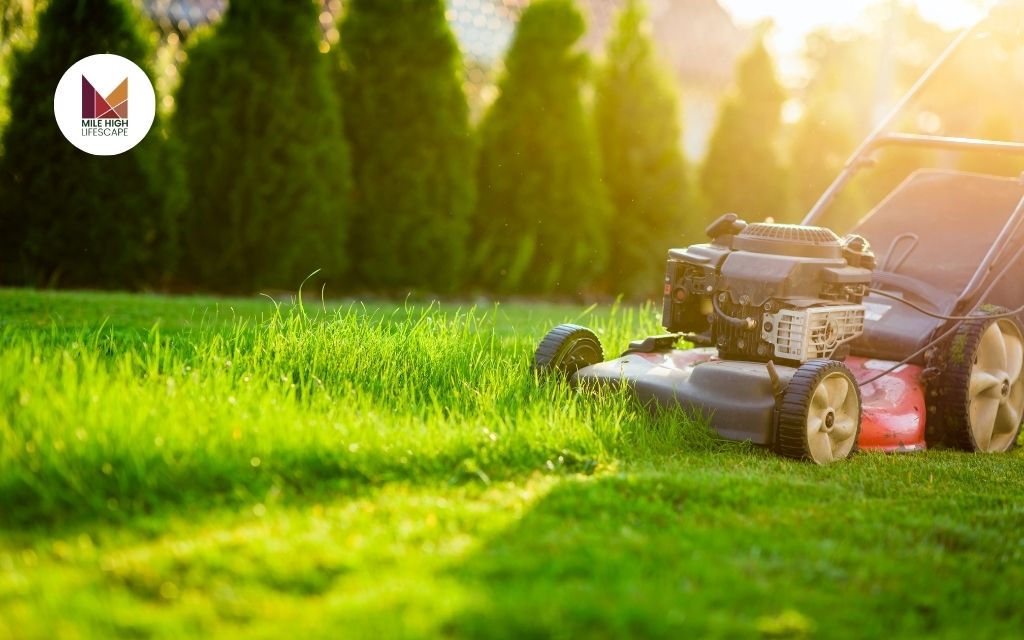 Lawn Mower Financing Made Easy: 10 Cost-Effective Tips Denver