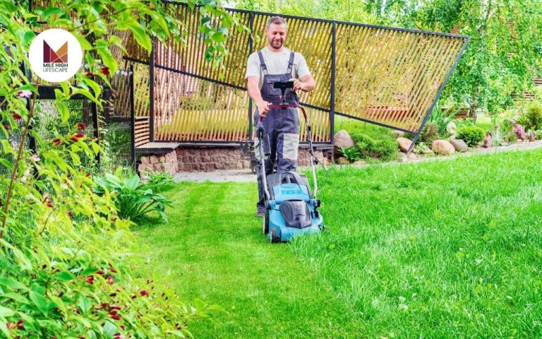 Lawn Mowing Around Me: How to Find and Choose the Best Local Service