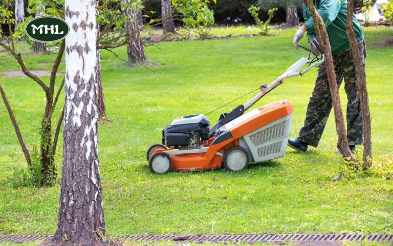 Lawn Mowing Maintenance: 8 Essential Tips for a Healthy Lawn