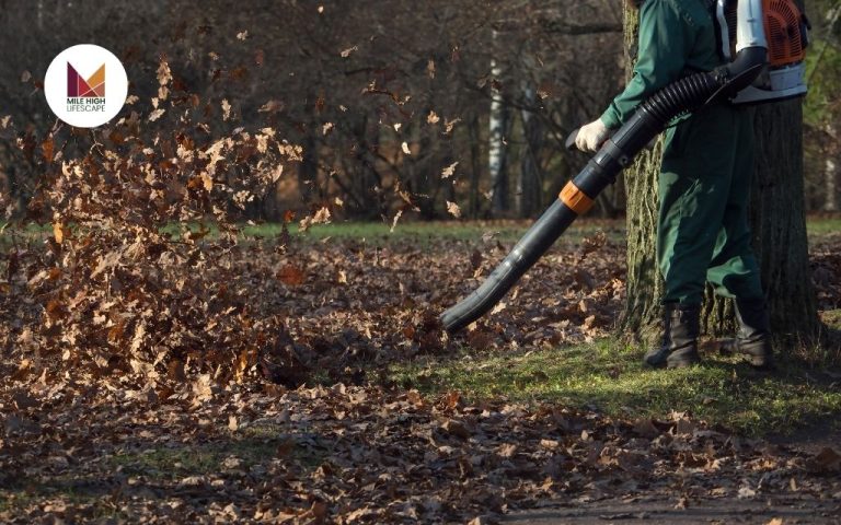 Leaf Removal Near Me: Finding the Best Denver Services for a Clean, Healthy Lawn