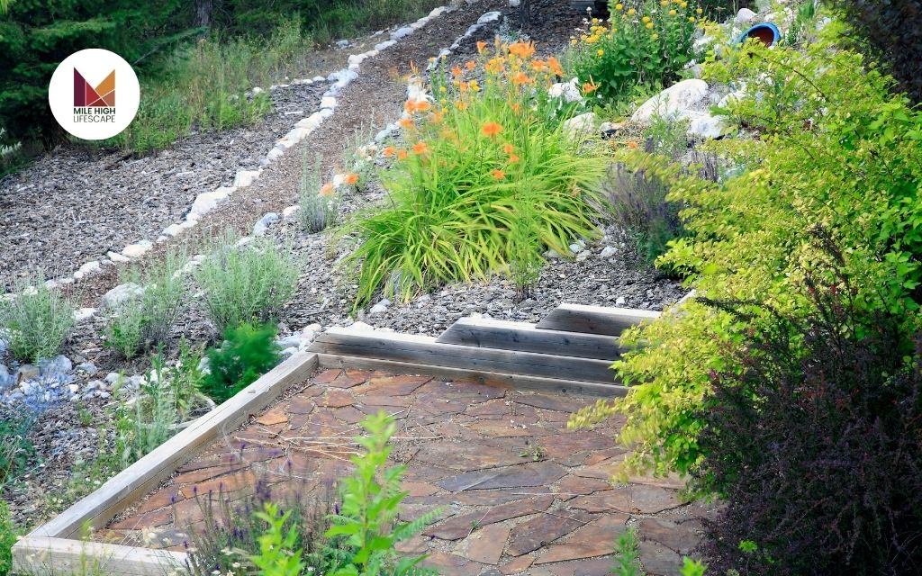 Mile High Lifescape’s Expertise in Garden Ideas Design