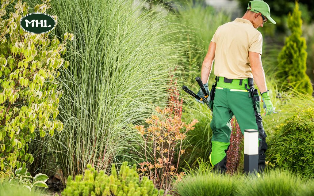 Mile High Lifescape’s Spring Landscaping Services