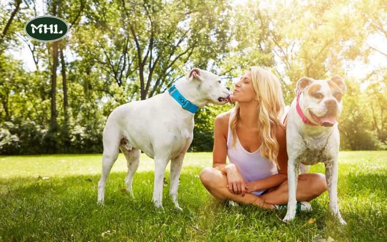 10 Pet Friendly Lawn Care Tips: Safe and Healthy Lawns for Your Furry Friends