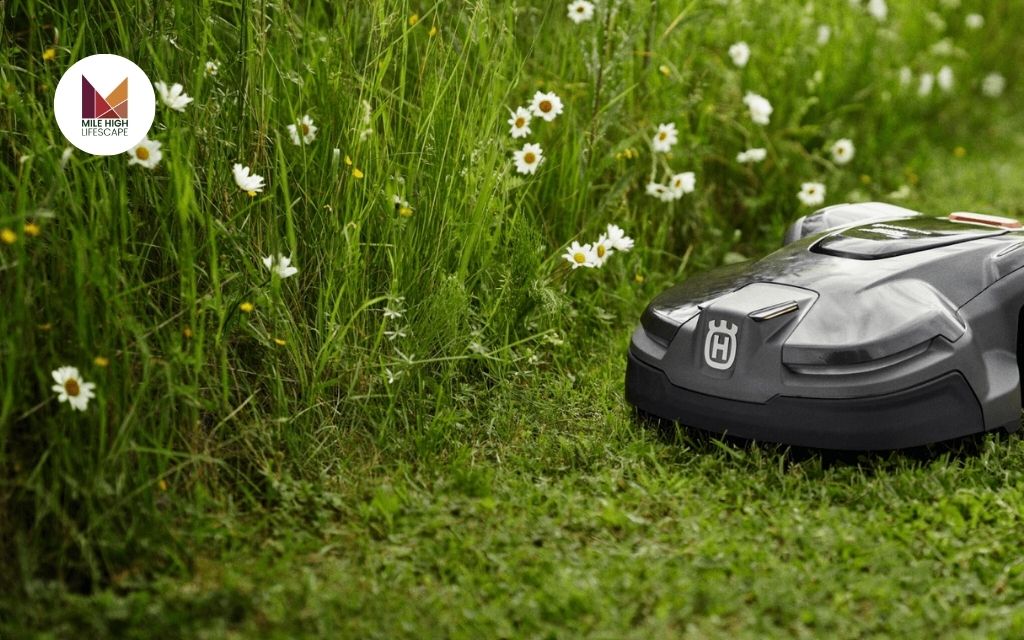 Pros and Cons of Self Mowing Lawn Mowers