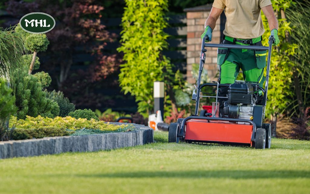 Residential Lawn Care Tips for Denver Residents