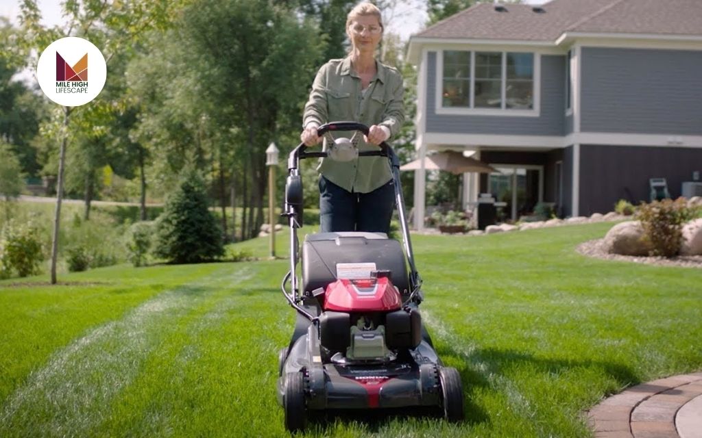 Self Mowing Lawn Mower: Tips to Choose the Best Robotic Mower in 2025