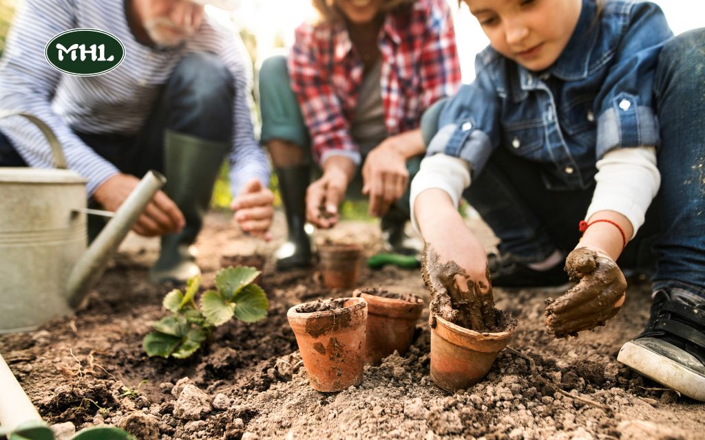 Small Garden Ideas: 6 Creative and Practical Solutions for Tiny Spaces