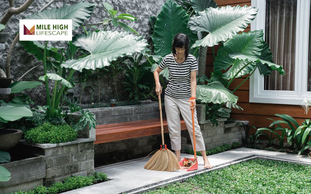 Step-by-Step Guide to Landscape Yard Clean Up