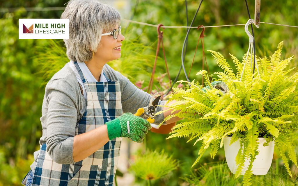 Task 8: Protect Plants From Cold Weather