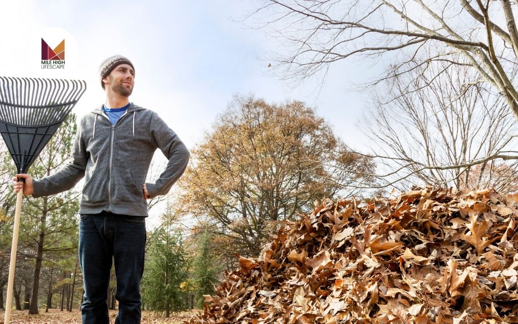 Tips for Hiring a Leaf Removal Near Me