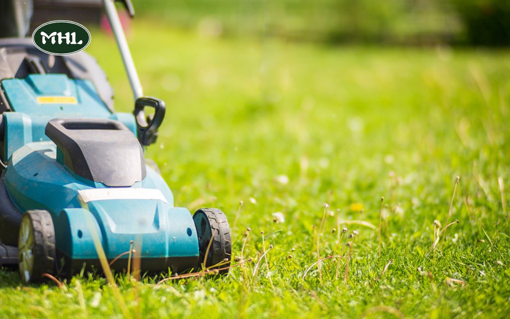 Tips for Mowing Your Lawn Efficiently and Responsibly in Colorado