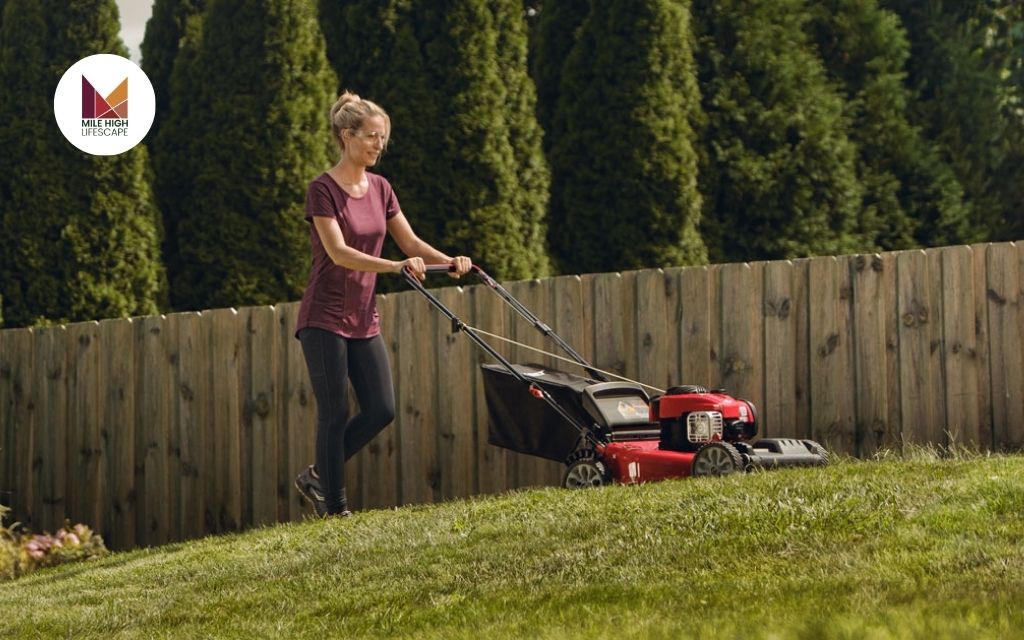 Top Self Mowing Lawn Mowers for 2025