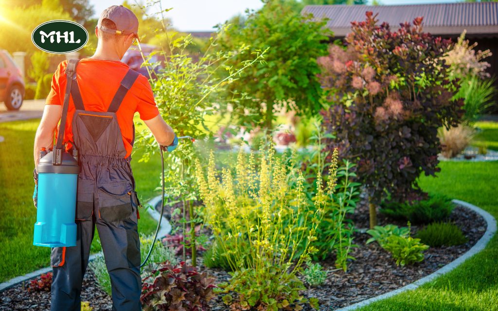 Types of Gardens: A Complete Guide