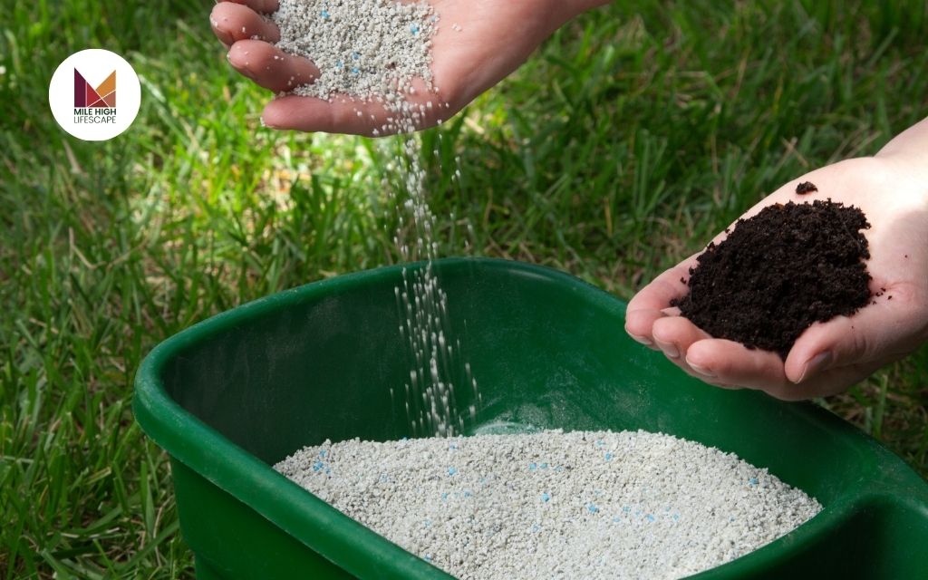 Types of Lawn Fertilizers