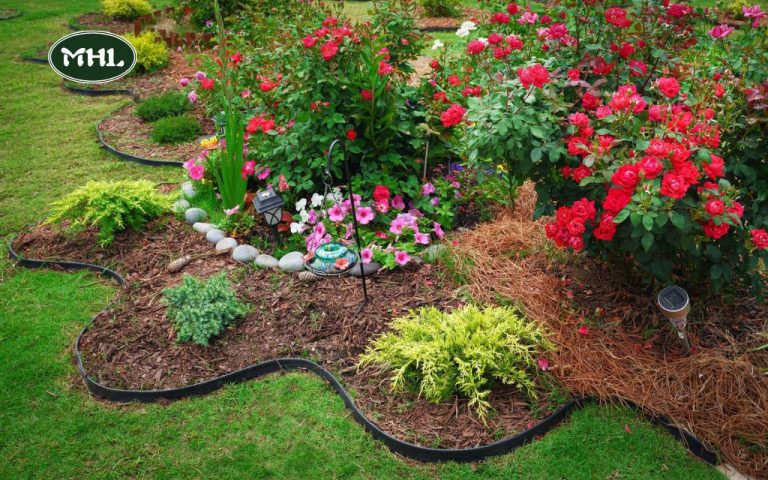 Unleash Your Garden's Charm: Cheap & Creative Edging Ideas for Denver Landscapes