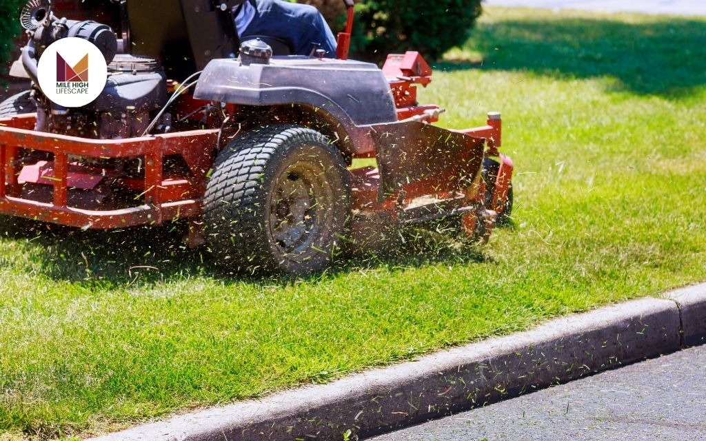 What Are Local Lawn Mowing Services?