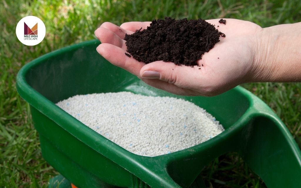 What Fertilizer Is Best for Lawns?