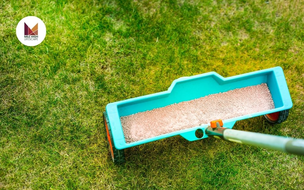 What Is a Lawn Fertilizer Service?