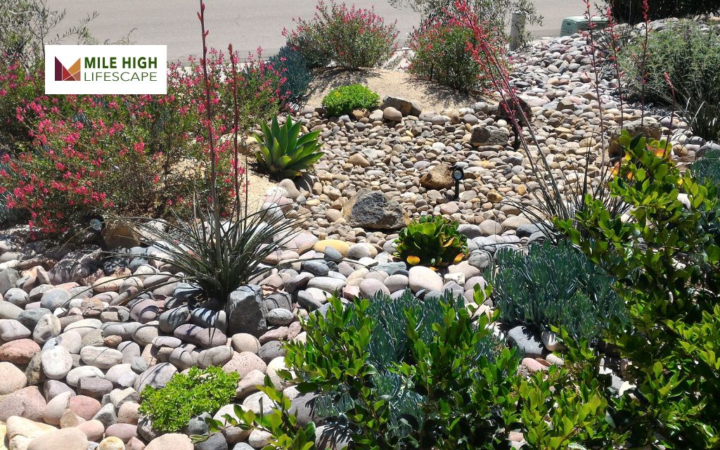 What Is Xeriscape Landscape Design?