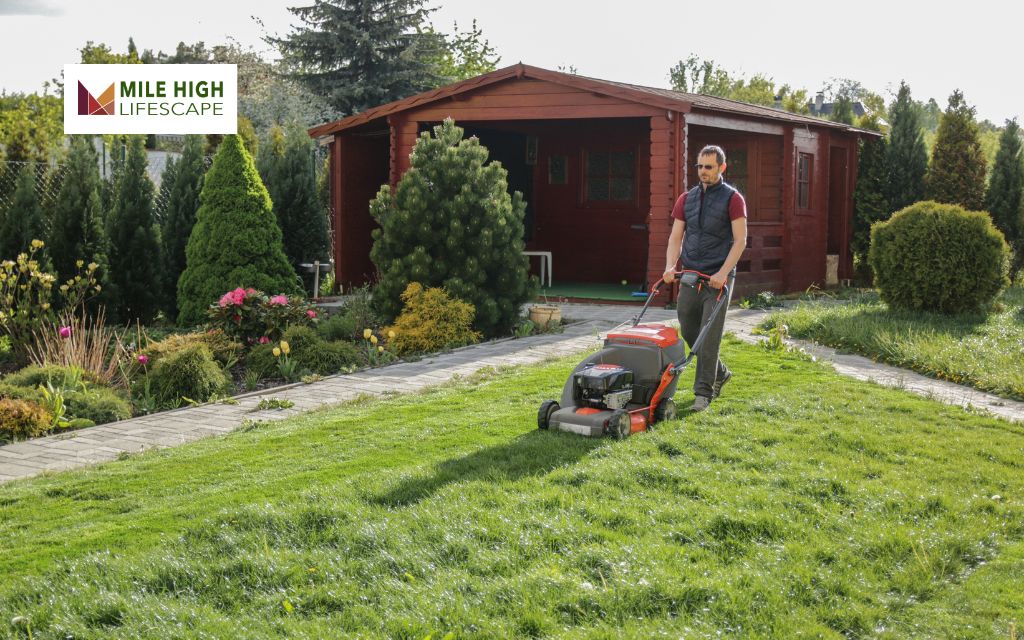 What To Consider When Hiring Basic Lawn Care Services