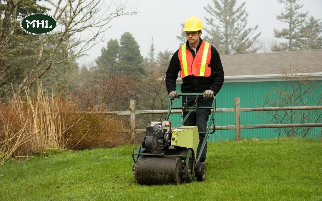 When to Mow Your Lawn: Tips For Each Season