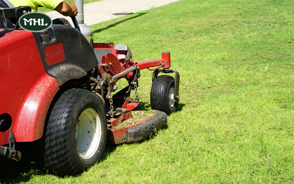 When to Stop Mowing Lawn: A Guide to Healthy Lawn Care