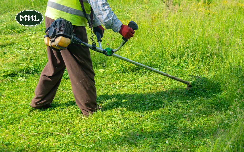 When to Stop Mowing Lawn: Signs to Know