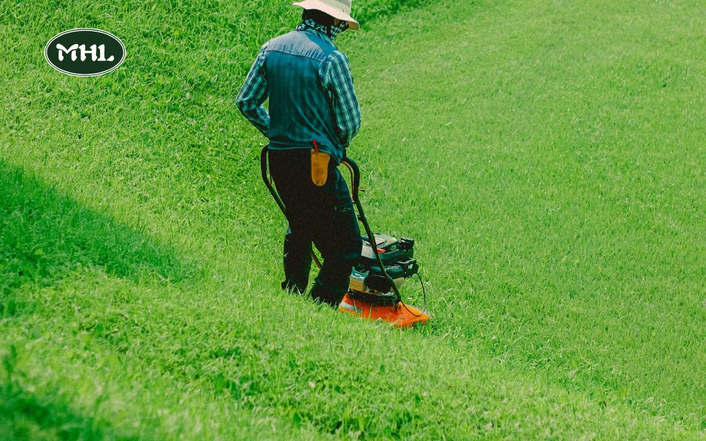 When to Trim Ornamental Grass for a Beautiful Yard By Mile High Lifescape