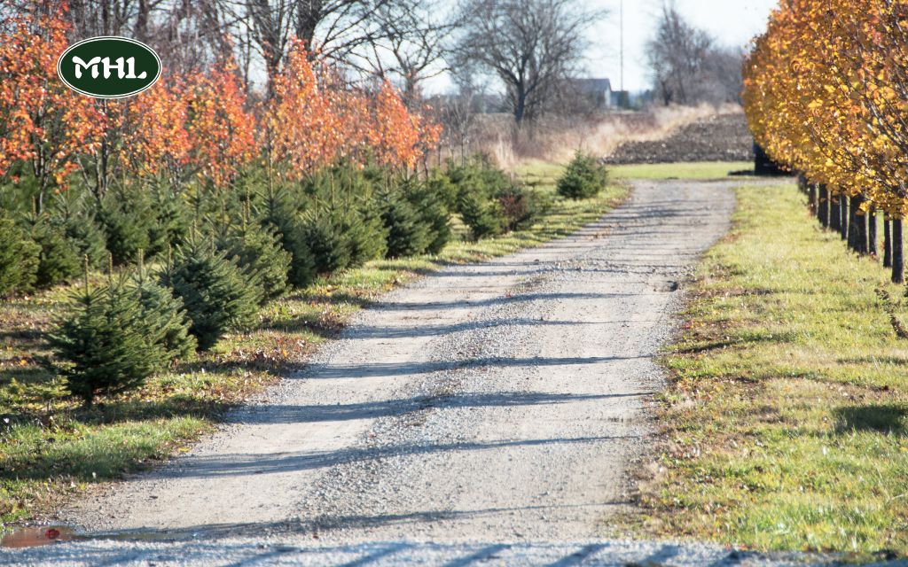 Why Add Edging to Your Driveway?