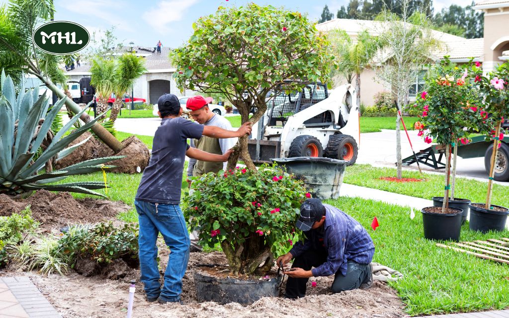 Why Choose Low-Maintenance Small Front Yards Landscaping?