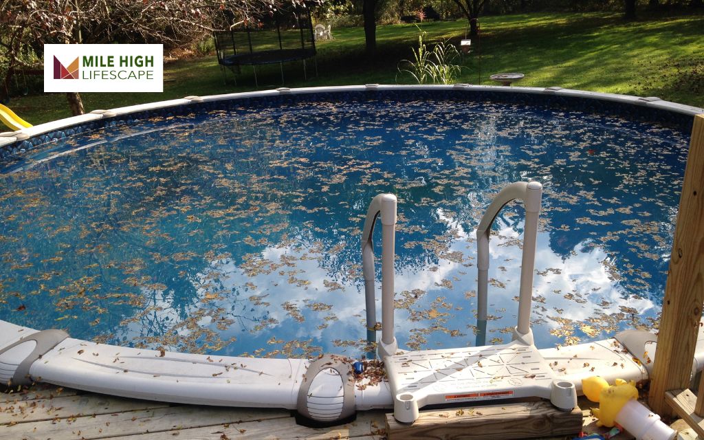 Why Is Regular Pool Cleaning Important?