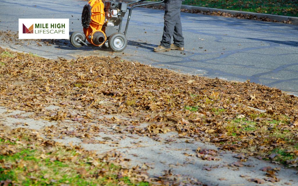 Why Landscape Yard Clean Up Matters