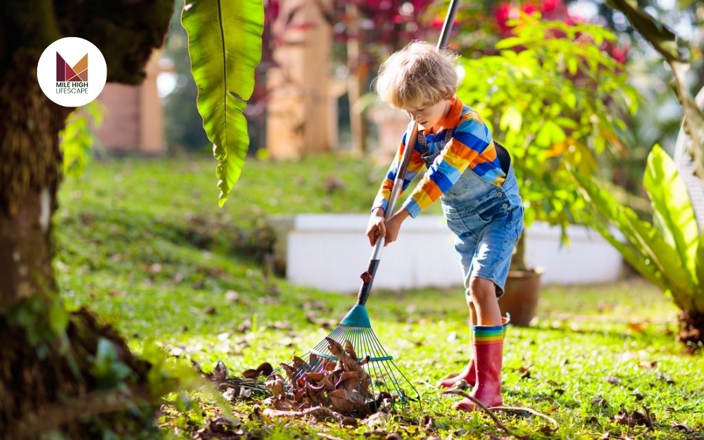 Why Leaf Removal Is Essential