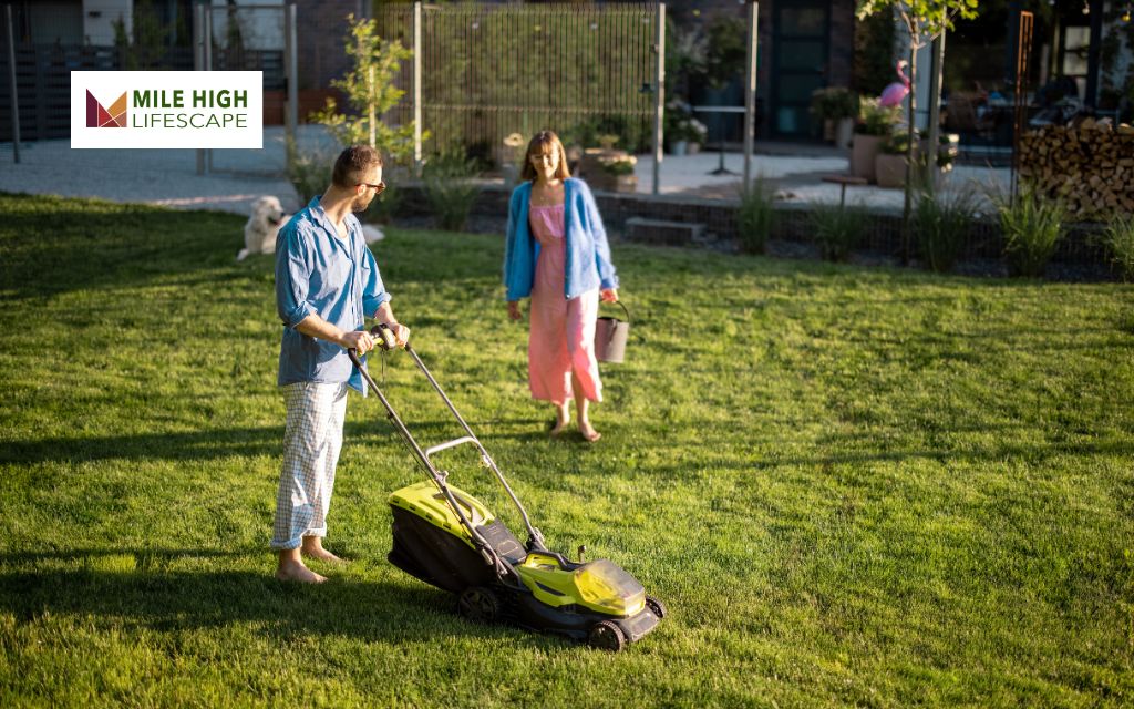 12 Natural Lawn Care Tips for a Greener Yard