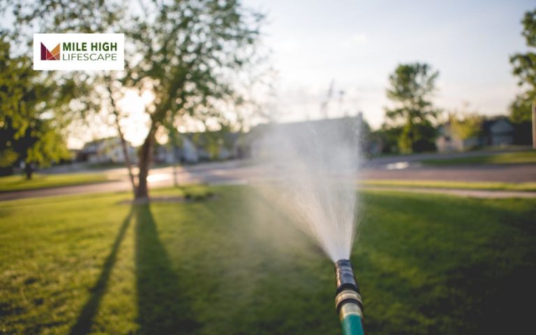 7+ Genius Lawn Watering Tips: How to Keep Your Grass Green and Healthy