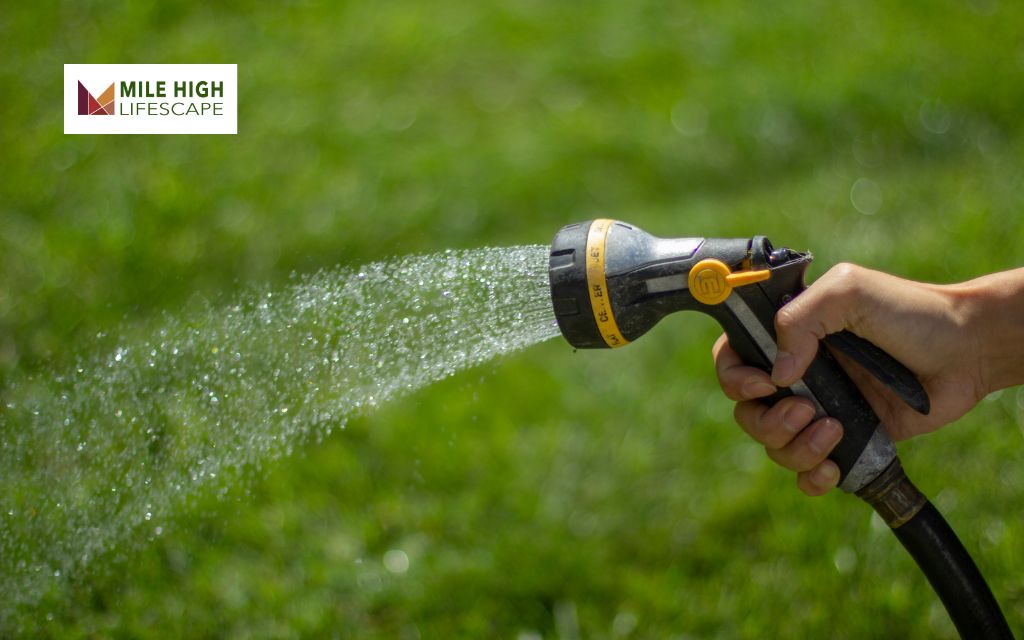 7 Key Lawn Watering Tips for a Healthy Lawn