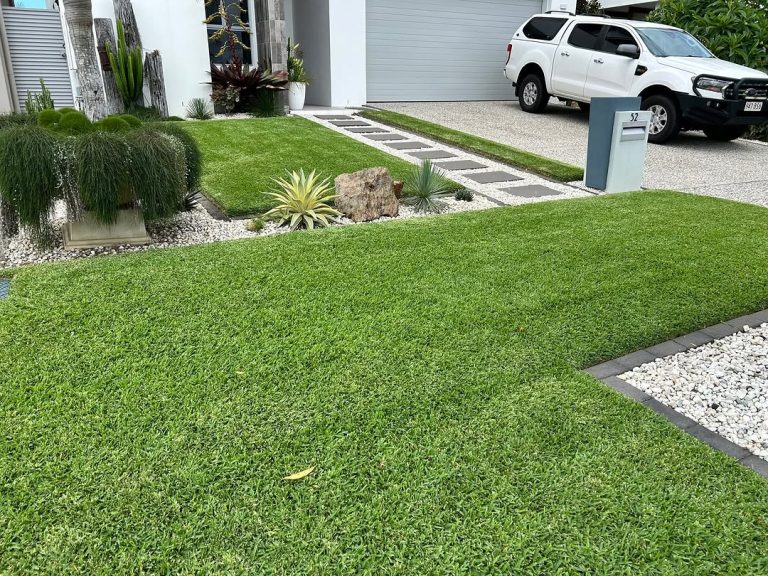 Damien's Sir Walter DNA Certified lawn has flourished after a recent top dress! You've gotta love the combination of warm weather and a bit of rain for your lawn! ?? ??

?? Location: Gold Coast
.
.
.
#sirwalterdnacertified #sirwalterbuffalo #swb #swdna #dnacertifiedsirwalter #lushlawn #lawngoals #backyardgoals #homegoals #lawnsolutions #lawnsolutionsaustralia