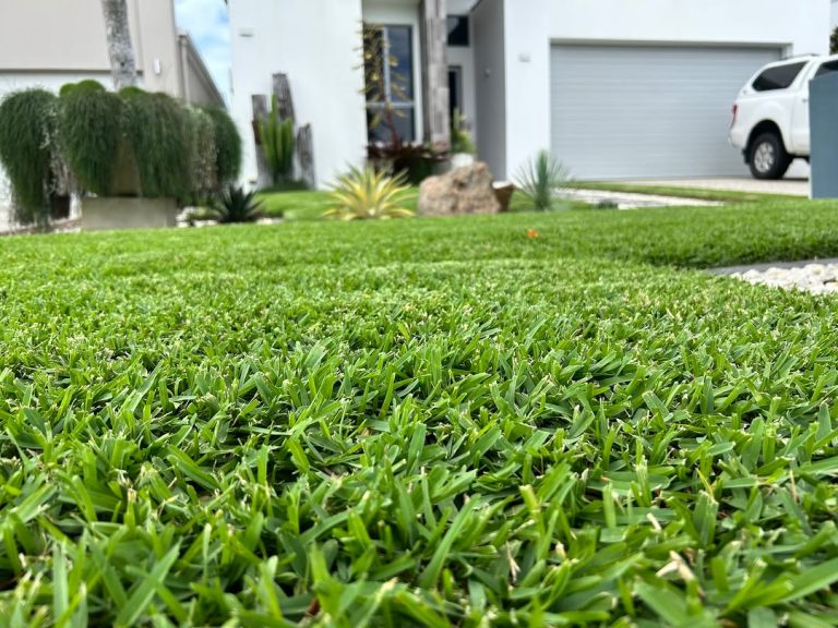 Damien's Sir Walter DNA Certified lawn has flourished after a recent top dress! You've gotta love the combination of warm weather and a bit of rain for your lawn! ?? ??

?? Location: Gold Coast
.
.
.
#sirwalterdnacertified #sirwalterbuffalo #swb #swdna #dnacertifiedsirwalter #lushlawn #lawngoals #backyardgoals #homegoals #lawnsolutions #lawnsolutionsaustralia