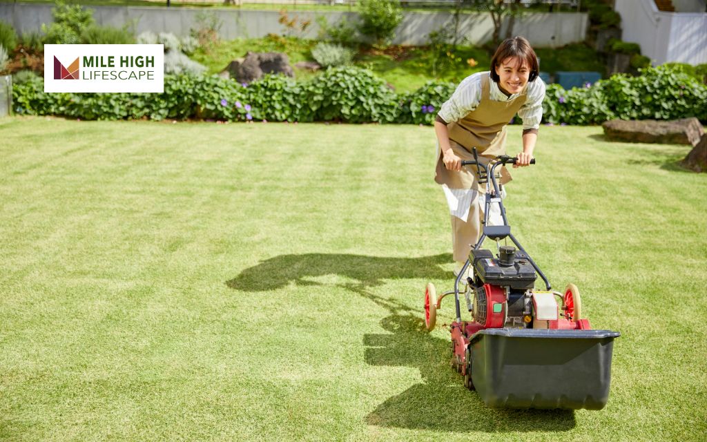 Additional Tips for a Well-Striped Lawn