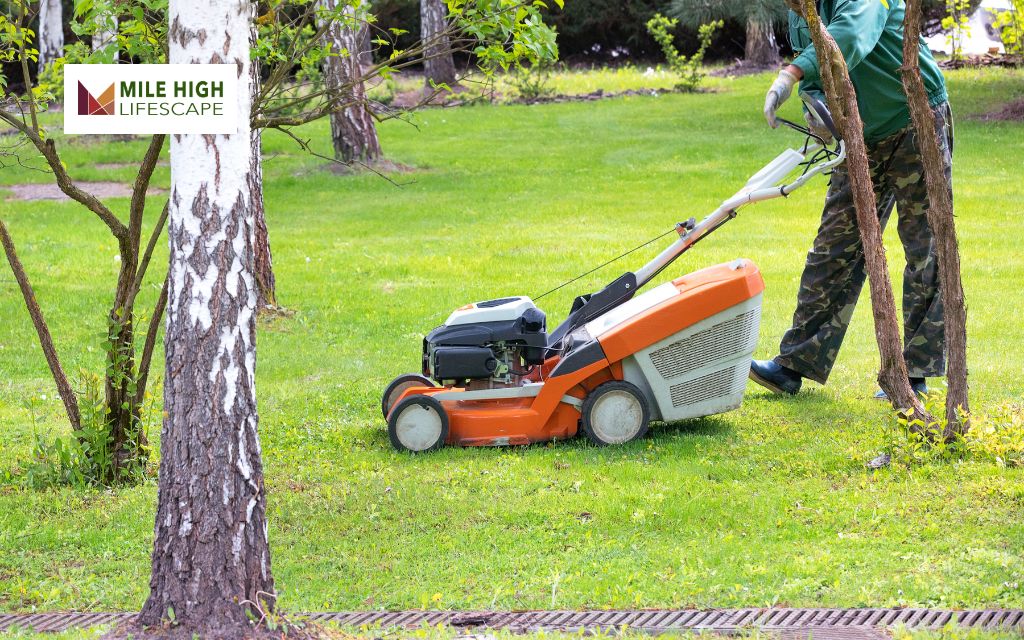 Benefits of Professional Lawn Mower Maintenance Services in Denver